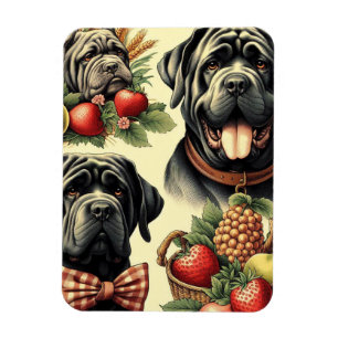 Vintage Neapolitan Mastiff Illustration Magnet