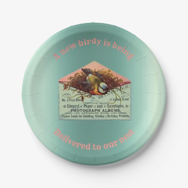 Vintage nesting bird baby shower paper plate (Front)