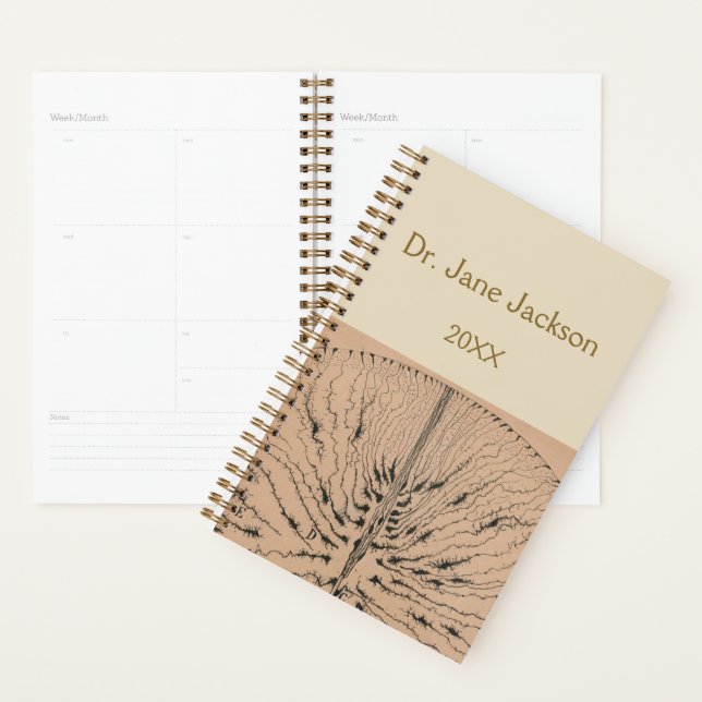 Vintage Neurology Drawing - Doctor's Planner (Display)