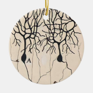 Vintage Neuron Drawing By Santiago Ramón y Cajal Ceramic Ornament
