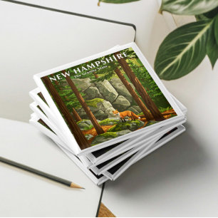 Vintage New Hampshire Magnet