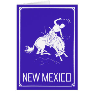 Vintage New Mexico