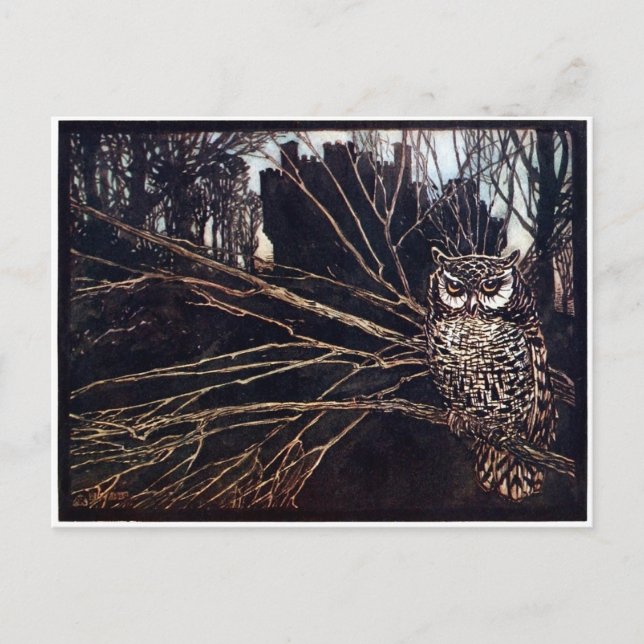 Vintage Night Owl Rackham Postcard (Front)