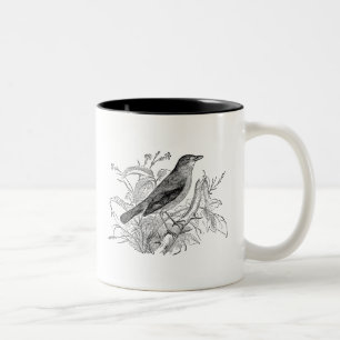 Vintage Nightingale Bird Personalised Retro Birds Two-Tone Coffee Mug