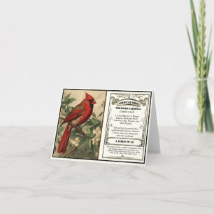 Vintage Northern Cardinal State Bird Thank You Card