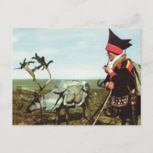 Vintage Norway, Norwegian Journey with a reindeer Postcard