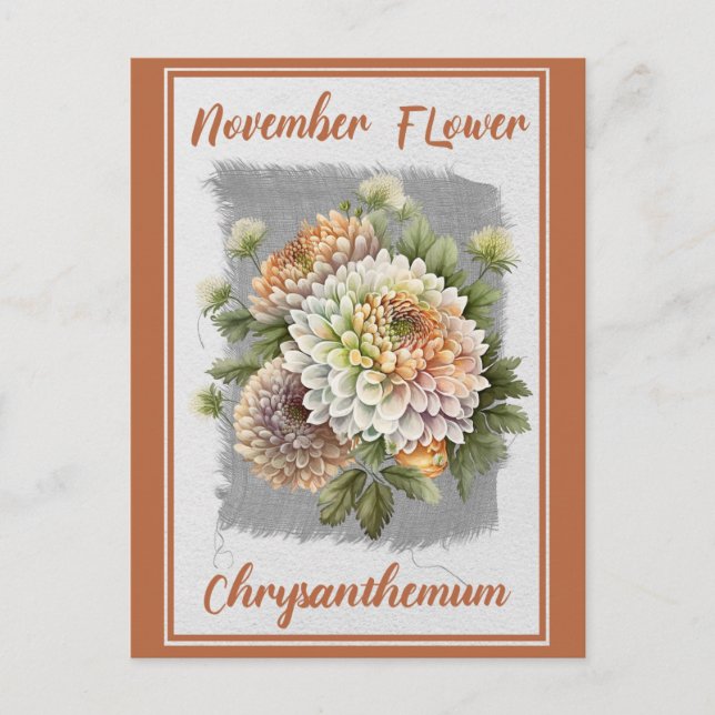 Vintage November Flower Chrysanthemum Floral Postcard (Front)