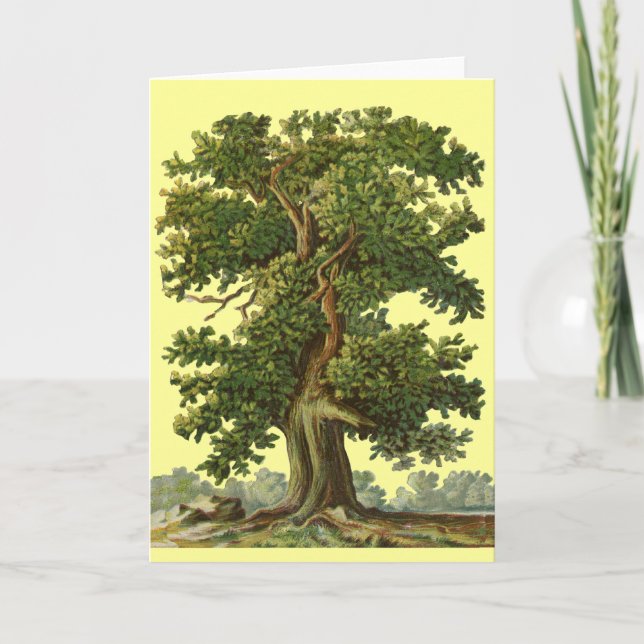 Vintage Oak Tree Art Blank Card (Front)