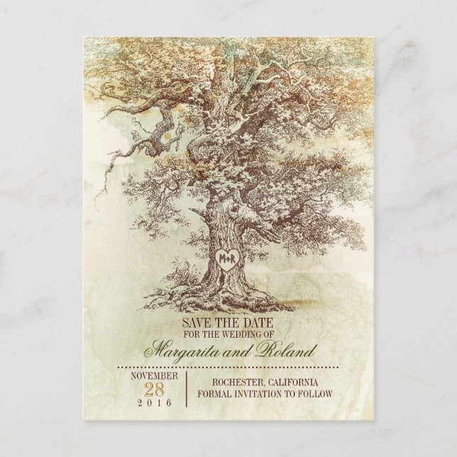 vintage oak tree save the date postcards (Front)