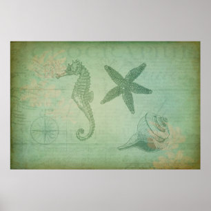 Vintage Ocean Animals and Seashells Poster