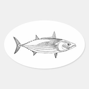 Vintage Ocean Fish Art - Skipjack Tuna Oval Sticker