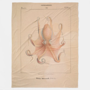 Vintage Octopus 1851 Eledon Aldrovandi Fleece Blanket