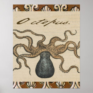 Vintage Octopus artwork art illustration Poster