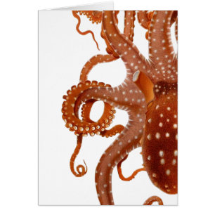Vintage octopus Card