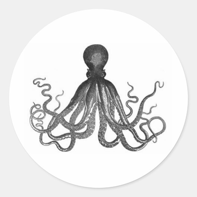Vintage octopus engraving classic round sticker (Front)