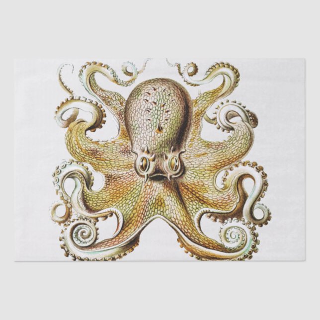 Vintage Octopus illustration by Ernst Haeckel  Tissue Paper (Front)