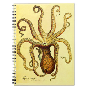 Vintage Octopus Illustration Field Journal Dark