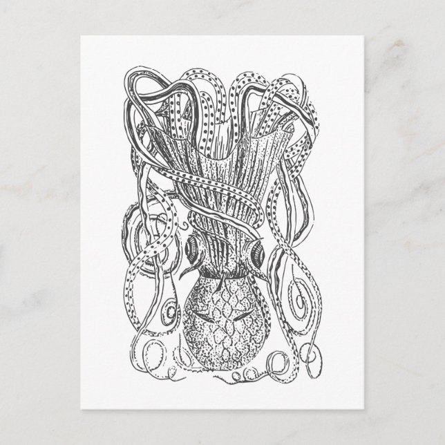 Vintage Octopus Illustration in Black and White  Postcard (Front)