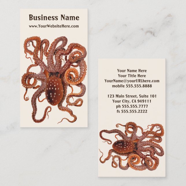 Vintage Octopus Macropus, Marine Aquatic Animals Business Card (Front/Back)