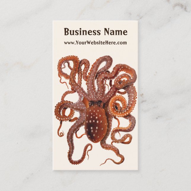 Vintage Octopus Macropus, Marine Aquatic Animals Business Card (Front)