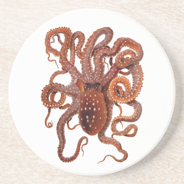 Vintage Octopus Macropus, Marine Aquatic Animals Coaster (Front)