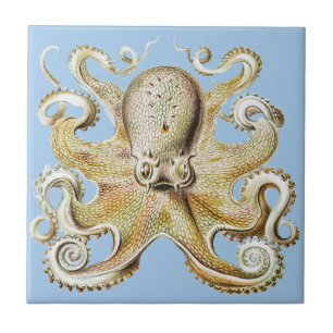 Vintage Octopus Marine Life illustration Ceramic Tile