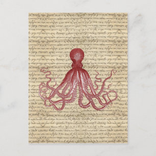 Vintage octopus postcard