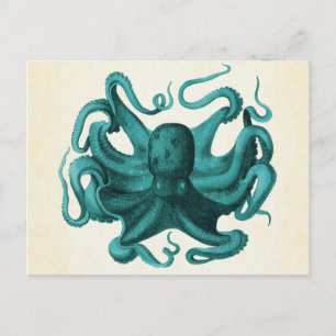 Vintage Octopus Postcard