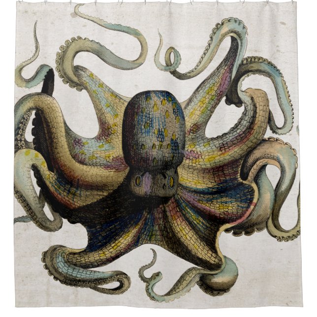 Vintage Octopus Print Shower Curtain (Front)
