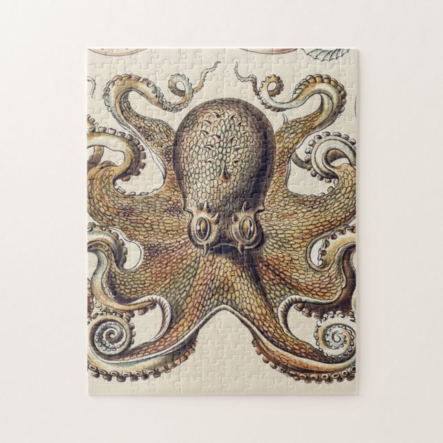 Vintage Octopus Squid by Ernst Haeckel Jigsaw Puzzle (Vertical)