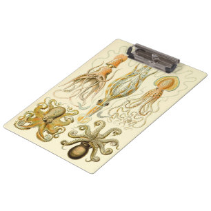 Vintage Octopus Squid Gamochonia by Ernst Haeckel Clipboard