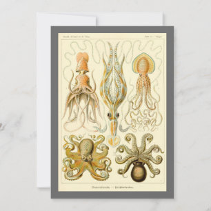 Vintage Octopus Squid Gamochonia by Ernst Haeckel Invitation