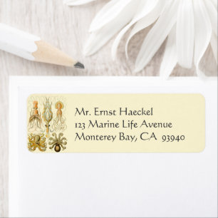 Vintage Octopus Squid Gamochonia by Ernst Haeckel Return Address Label