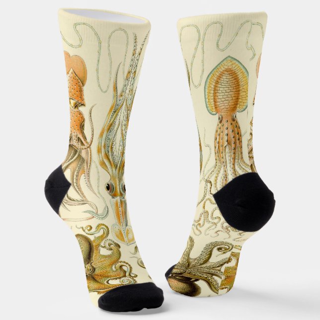 Vintage Octopus Squid Gamochonia by Ernst Haeckel Socks (Angled)