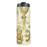 Vintage Octopus Squid Gamochonia by Ernst Haeckel