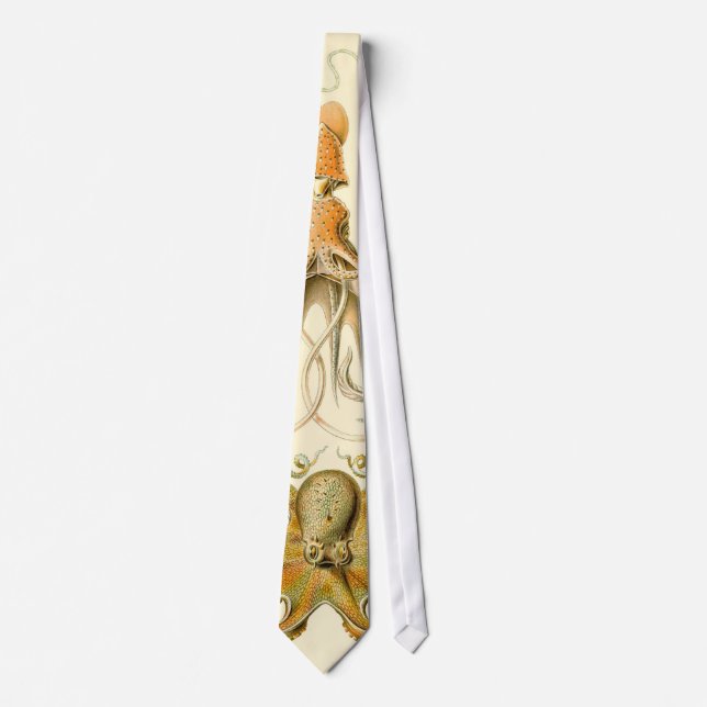 Vintage Octopus Squid Gamochonia by Ernst Haeckel Tie (Front)