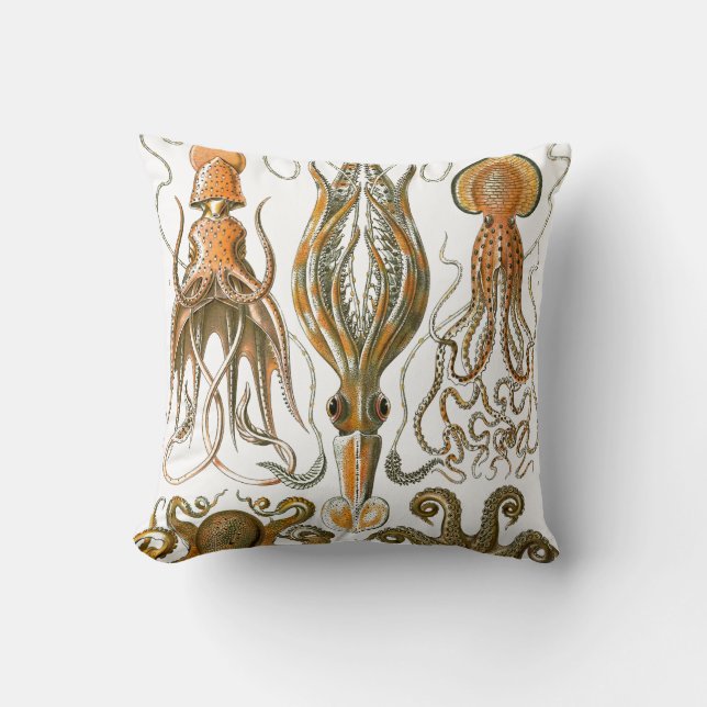 Vintage Octopus, Squid Illustration Cushion (Front)