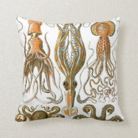 Vintage Octopus, Squid Illustration