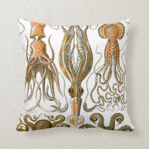 Vintage Octopus, Squid Illustration Cushion