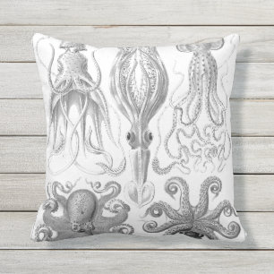 Vintage Octopus, Squid Illustration Cushion