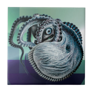 Vintage Octopus Squid Nautilus Argonaut Ceramic Tile