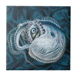 Vintage Octopus Squid Nautilus Argonaut Ceramic Tile
