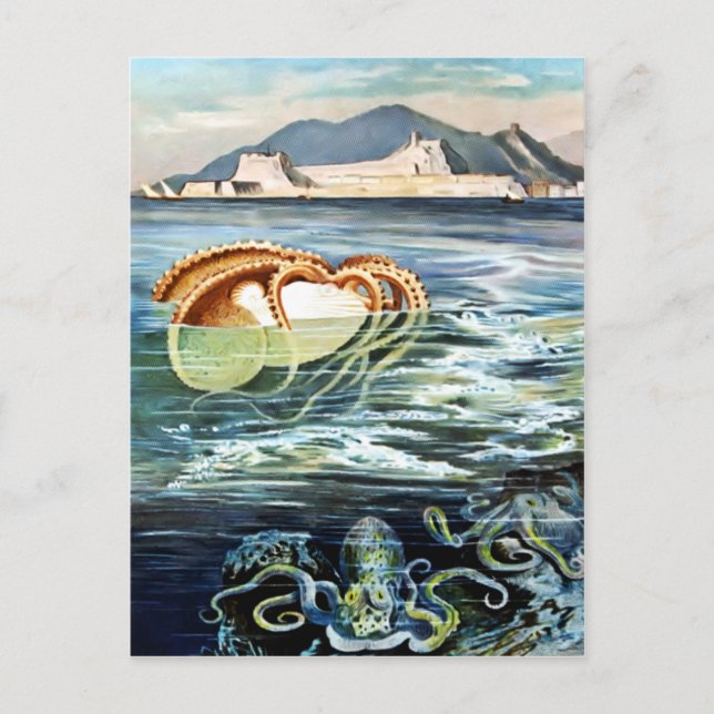 Vintage Octopus & Squid Postcard (Front)