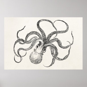 Vintage Octopus Template on Antique Paper Poster