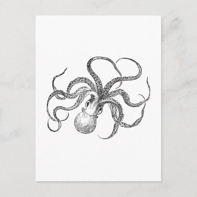 Vintage Octopus Template Postcard (Front)