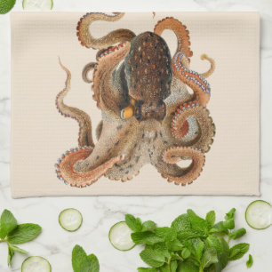 Vintage Octopus Vulgaris, Marine Life Animals Tea Towel
