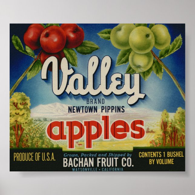 Vintage Old Apple Fruit Crate Labels Poster (Front)