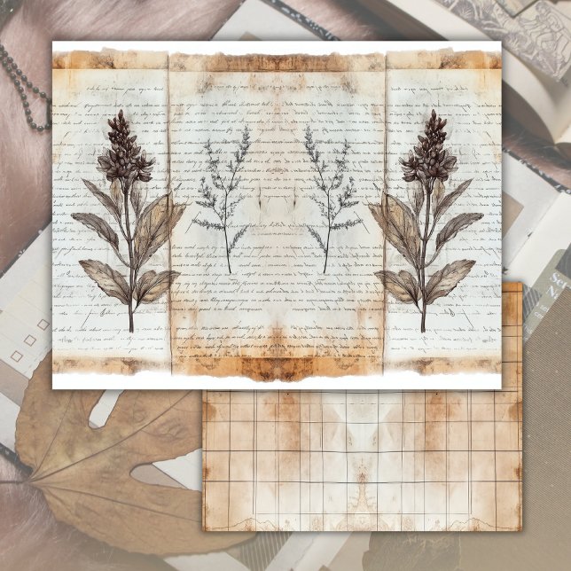 Vintage Old Botanical Junk Journal Paper Sheet (Creator Uploaded)