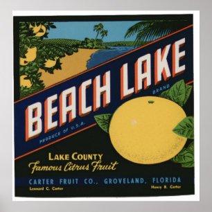 Vintage Old Citrus Fruit Crate Labels Poster