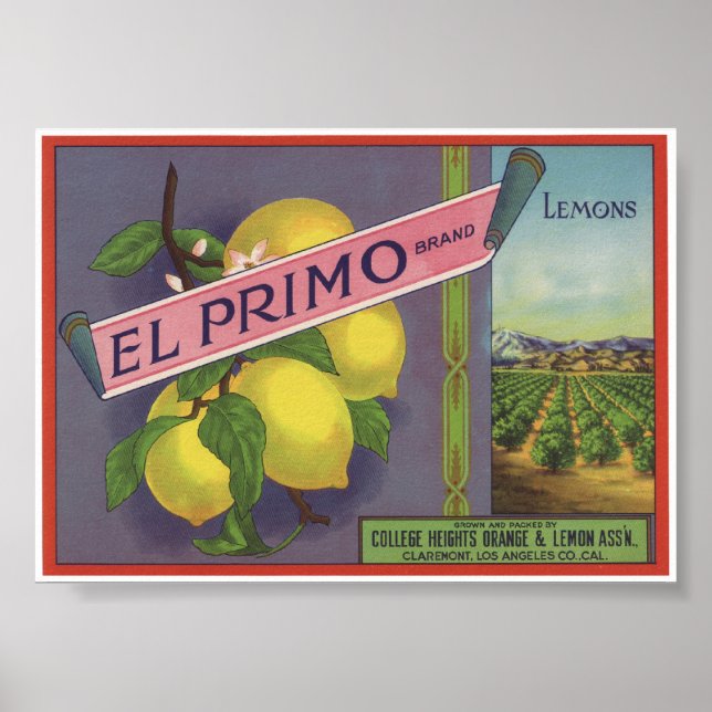 Vintage Old Lemons Fruit Crate Labels Poster (Front)